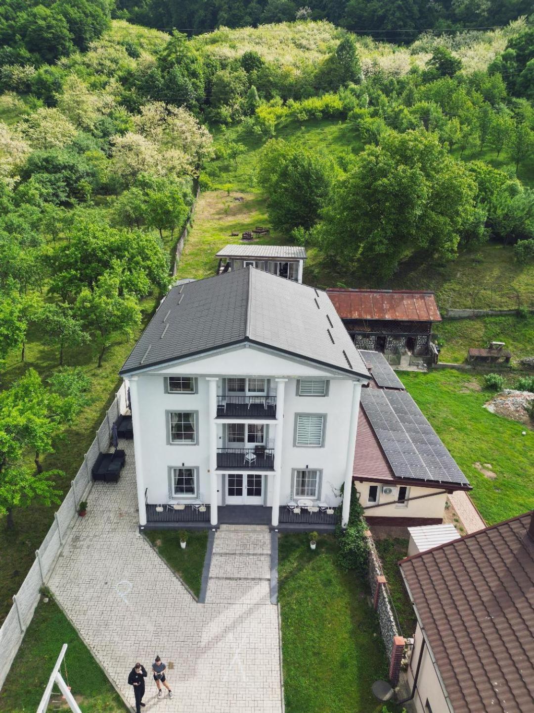 Green Hill Villa Calimanesti Exterior photo